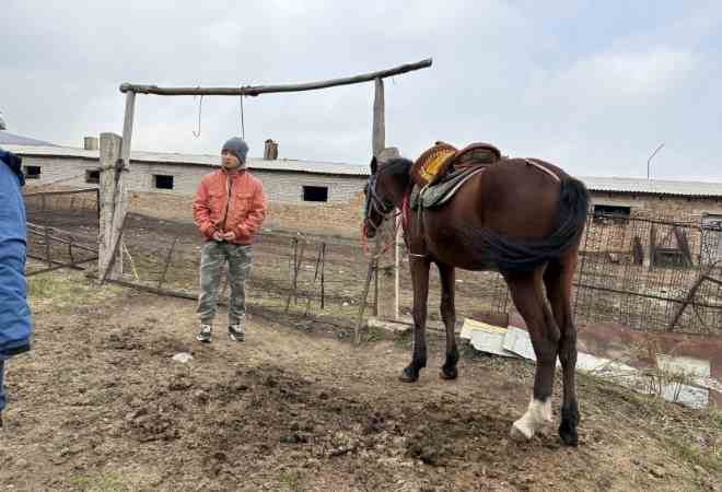 ツアーイメージ