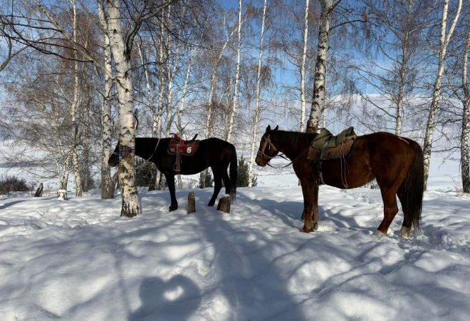 ツアーイメージ