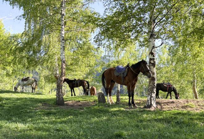 ツアーイメージ